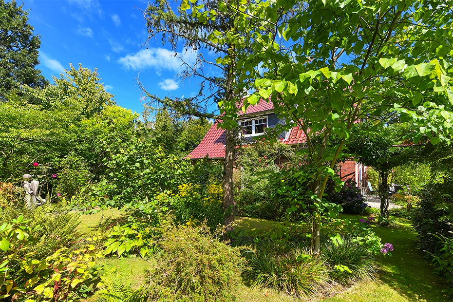 Foto aus der Fotogruppe 